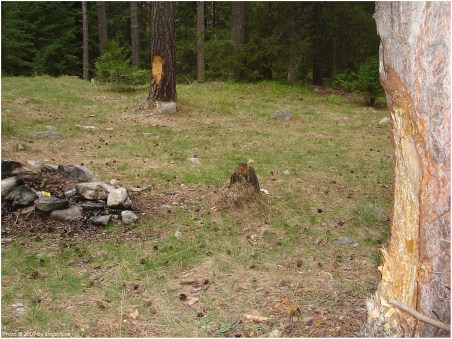 кому е нужно?