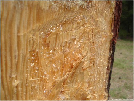 и пак сълзи..