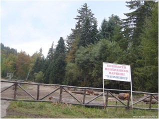 безплатен НЕохраняем паркинг